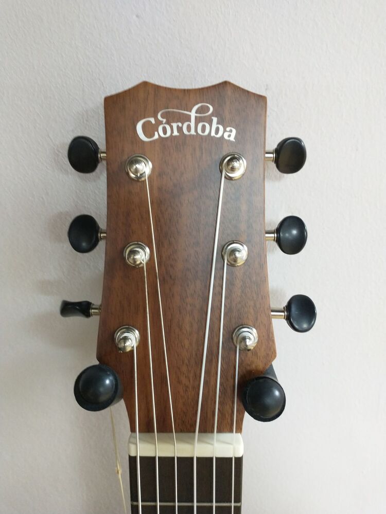 cordoba mini koa limited