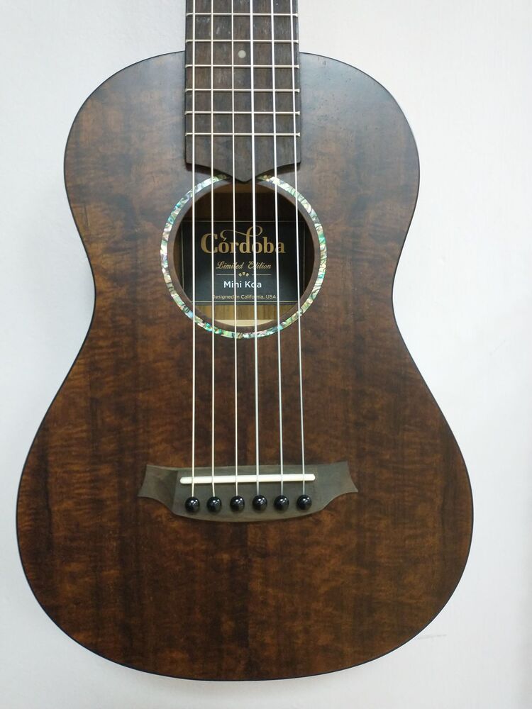 igor presnyakov guitar