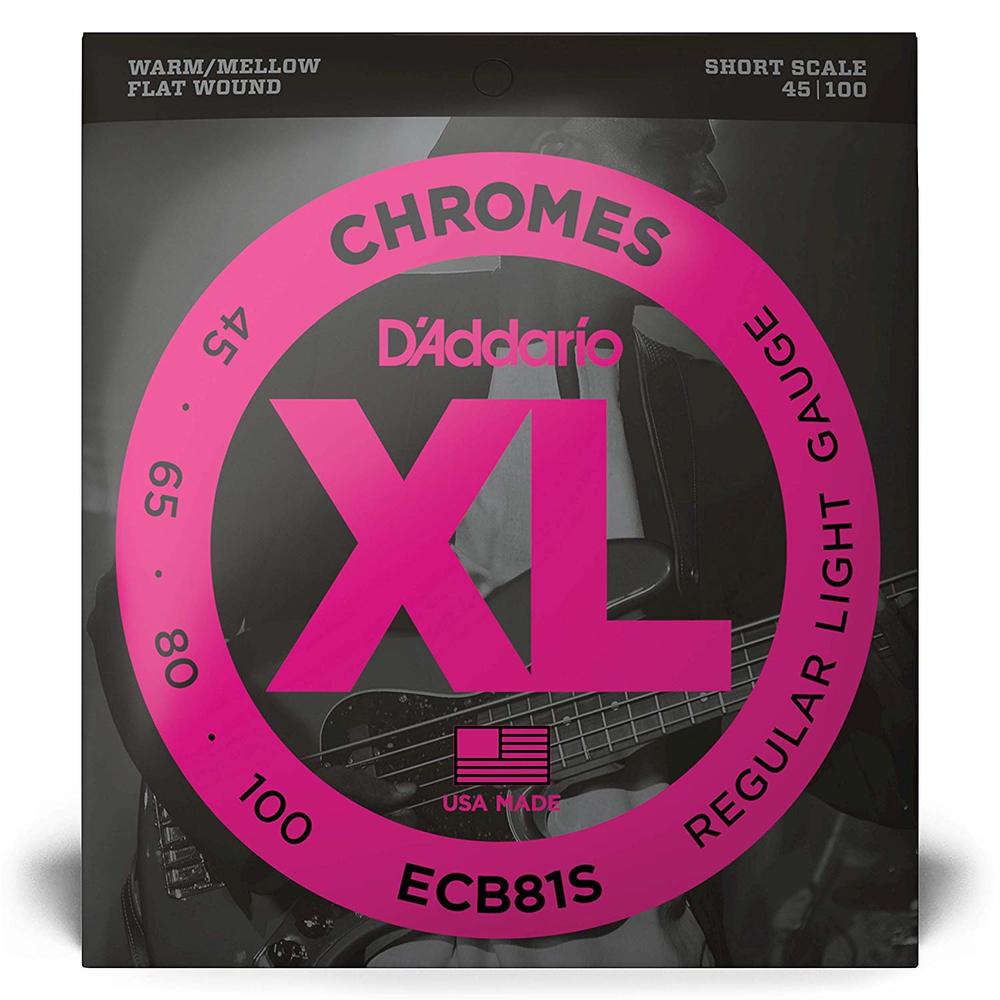 D Addario ECB81S Bass strings light 45 100 Mann s Music