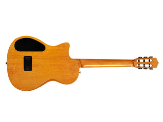 Cordoba Stage Exotic Ziricote Electro Nylon Guitar & Case
