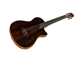 Cordoba Stage Exotic Ziricote Electro Nylon Guitar & Case