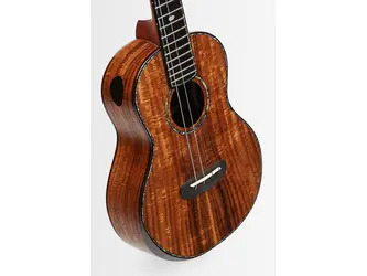 Kala Contour Deluxe All Solid Gloss Spruce Rosewood Ukulele With Cutaway and Bag
