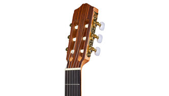 Cordoba Protege C1M Nylon Guitar