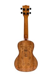 Kala KA-FMCG Solid Spruce Flame Maple Concert Ukulele