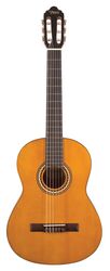 Valencia 200 Series 4/4 Size Nylon Guitar & Case