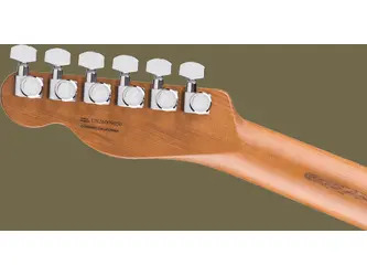 Fender Limited Edition American Ultra II Telecaster®, Roasted Maple Fingerboard, Natural - Incls Deluxe Moulded Case