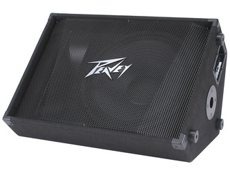 Peavey PV 15M Monitor