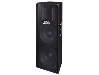 Peavey PV215 Two Way Speaker