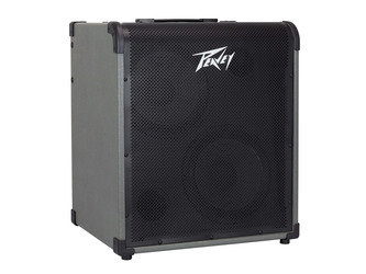 Peavey Max 300 Bass Combo