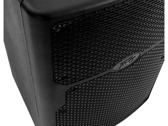 Peavey PVX 10 Non-Powered Speaker