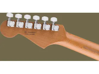 Fender Limited Edition American Ultra II Stratocaster, Roasted Maple Fingerboard, Natural - Incls Deluxe Moulded Case