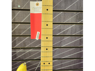 Fender Player Stratocaster, Buttercream - Electric Guitar