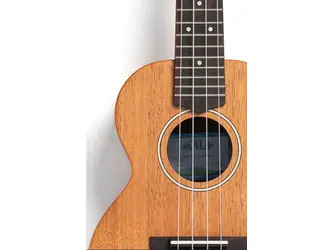 Kala James Hill Solid Top Mahogany Concert Ukulele w/ Gig-Bag