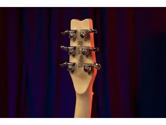 Washburn R5TS Wing Series Raven Electric Guitar with Gigbag - Tobacco Sunburst