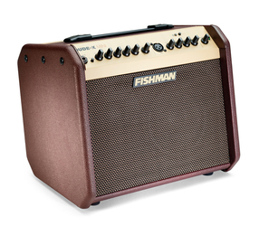 Fishman Loudbox Mini Acoustic Guitar And Vocal Amplfier Combo