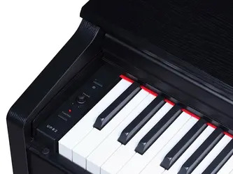 Medeli UP405EBK -  88 Note Digital Compact Stage Piano - With Graded Action