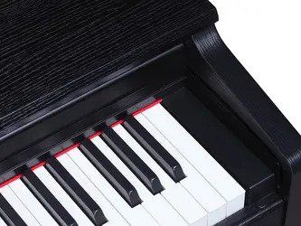 Medeli UP405EBK -  88 Note Digital Compact Stage Piano - With Graded Action