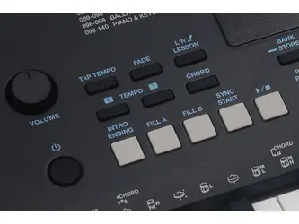 Medeli MILLENIUM Series Keyboard. 61 Key. Black