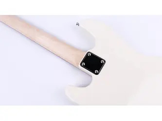 Gould Electric Bass Guitar Princeton