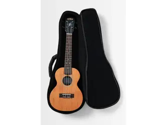 Kala James Hill Solid Top Mahogany Concert Ukulele w/ Gig-Bag