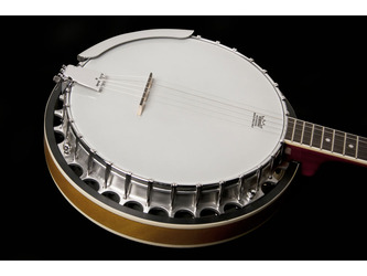 Washburn Americana B9 G Banjo