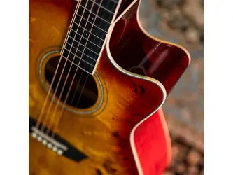 Washburn BURL ACE - Grand Auditorium Electro Acoustic Guitar