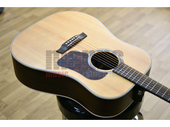 Walden Natura D800E Dreadnought Natural All Solid Electro Acoustic Guitar & Case - Sale