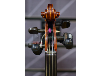 Stentor 1875A The Elysia Violin Only 