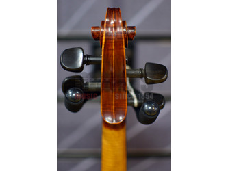 Stentor 1875A The Elysia Violin Only 
