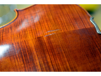 Stentor 1875A The Elysia Violin Only 