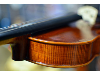 Stentor 1875A The Elysia Violin Only 