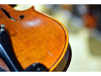 Stentor 1875A The Elysia Violin Only 