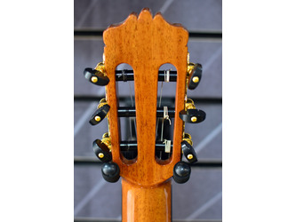 Cordoba Luthier C10 Cedar All Solid Nylon Guitar & Case