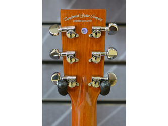 Tanglewood TRS5SE Smart Series Electro Acoustic Guitar 
