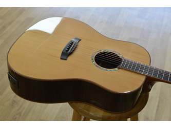 Tanglewood TRS5SE Smart Series Electro Acoustic Guitar 