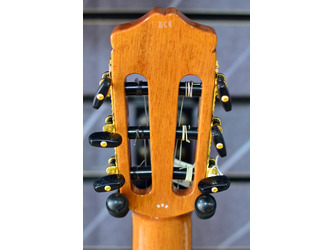 Cordoba Iberia C7-CE-Cedar Electro Nylon Guitar