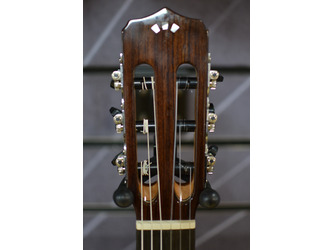 Cordoba Fusion 12 Rosewood Electro Classical Nylon Guitar 