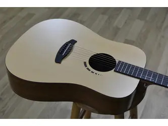 Tanglewood Metropolitan Series TM5 Acoustic Guitar