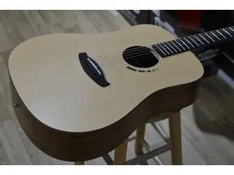 Tanglewood Metropolitan Series TM5 Acoustic Guitar