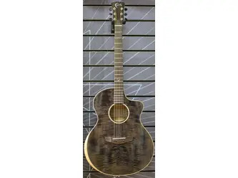 Faith Neptune FX Moondust Grey Electro Cutaway