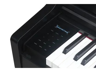 Medeli FORTE Series Digital Upright Piano. 88 Key. Black Satin