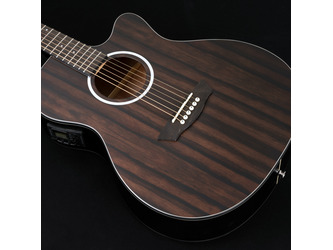 Washburn Deep Forest Striped Ebony Ace Electro Acoustic Guitar