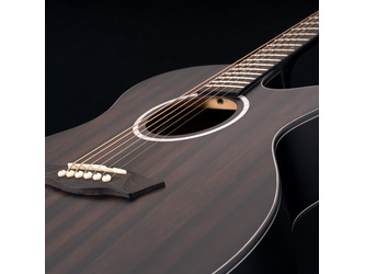 Washburn Deep Forest Striped Ebony Ace Electro Acoustic Guitar