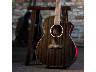 Washburn Deep Forest Striped Ebony Ace Electro Acoustic Guitar