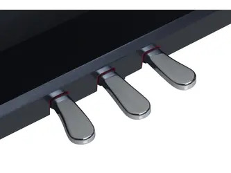 Medeli FORTE Series Digital Upright Piano. 88 Key. Black Satin