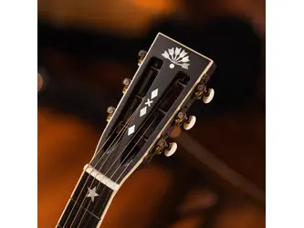 Washburn R-310 Victorian Parlour Acoustic Guitar