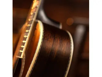 Washburn R-310 Victorian Parlour Acoustic Guitar