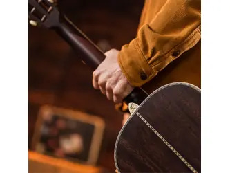 Washburn R-310 Victorian Parlour Acoustic Guitar