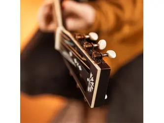 Washburn R-310 Victorian Parlour Acoustic Guitar