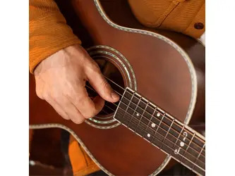 Washburn R-310 Victorian Parlour Acoustic Guitar